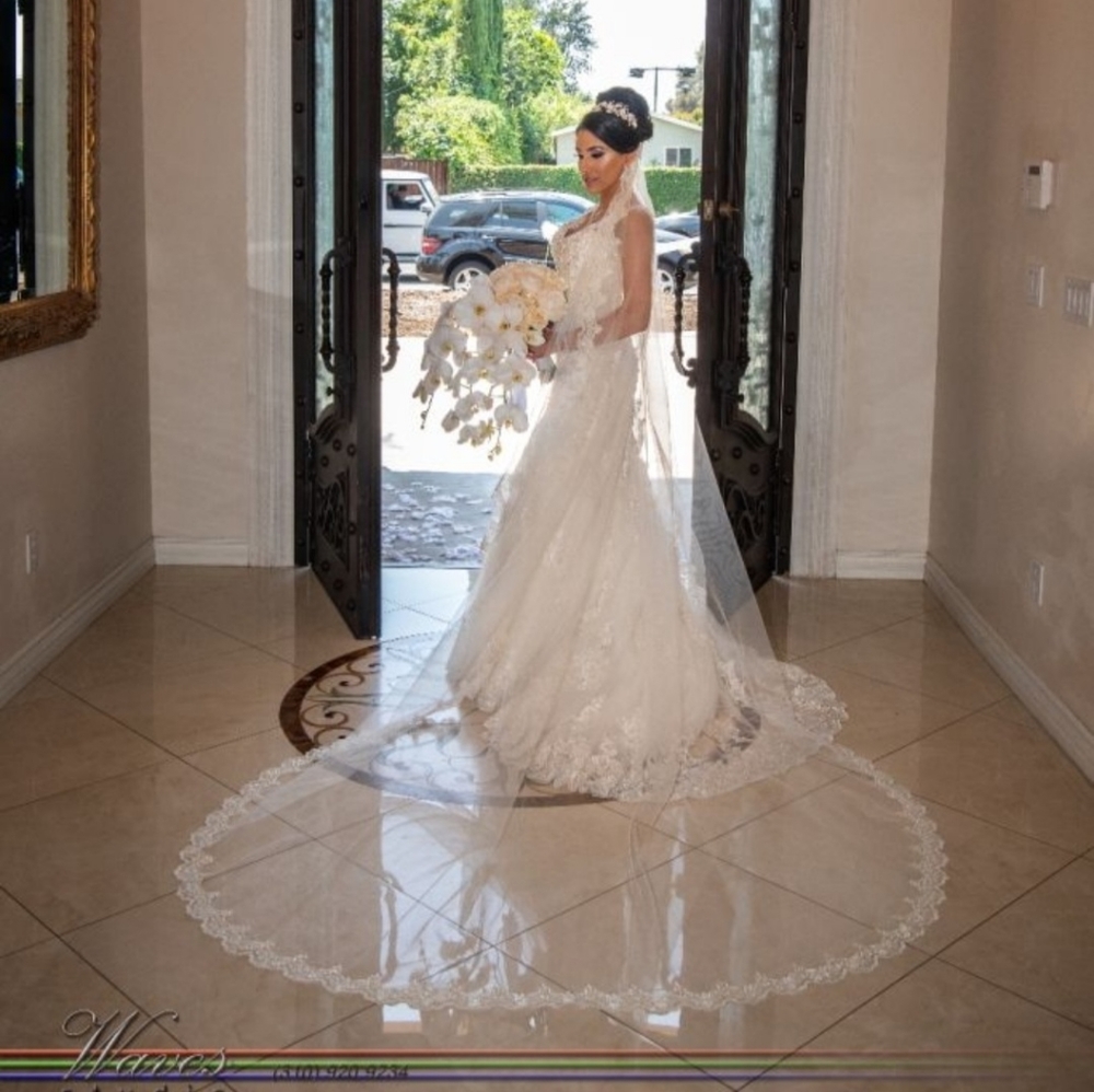 Wedding dress and veil